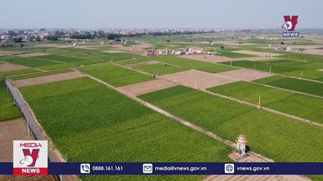 Nhộn nhịp xuất khẩu nông sản đầu năm 