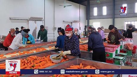 Khơi thông mọi động lực cho phát triển doanh nghiệp 