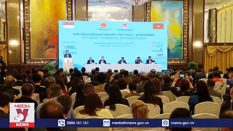 Diễn đàn doanh nghiệp Việt Nam - Singapore 