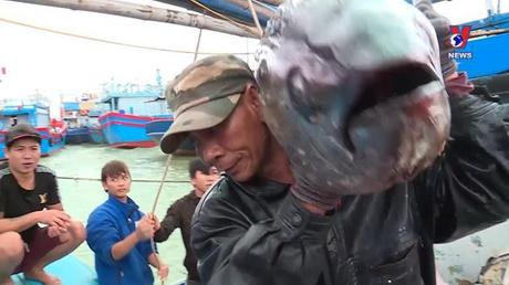 Nhật trình kinh tế ngày 10/2/2023