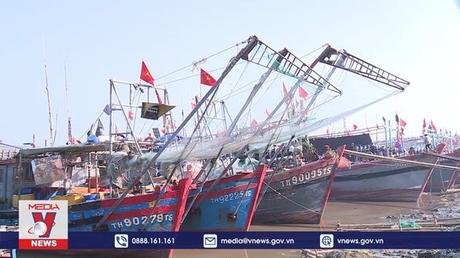 Ngư dân Thanh Hóa nhộn nhịp đánh bắt hải sản đầu xuân