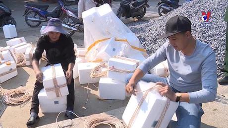 Nhật trình kinh tế ngày 11/02/2023