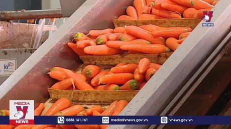 Trung Quốc nhập khẩu 260 tỷ USD nông sản, hàng Việt chỉ chiếm 5%