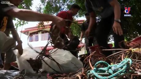 Đường dây nóng 389 ngày 11/02/2023