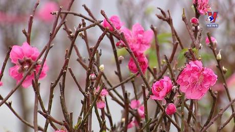 Học Bác mỗi ngày: Nâng cao năng suất lao động