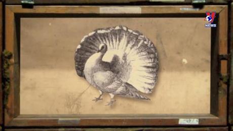 Thông điệp lịch sử: Charles Darwin