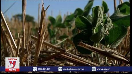 Argentina cảnh báo nguy cơ sức khỏe trong đợt nắng nóng kỷ lục