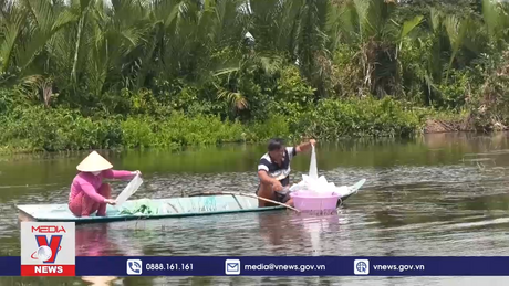 Người nuôi tôm Bạc Liêu thiếu nước mặn