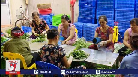 Kỳ vọng vào những hợp tác xã do phụ nữ làm chủ