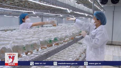 Những nông dân thế hệ mới