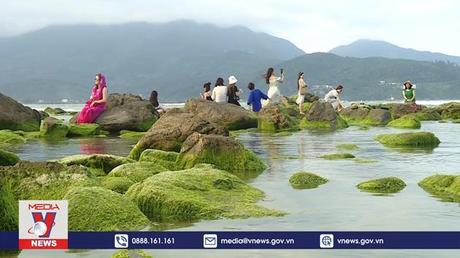 Ghềnh đá Nam Ô mùa rêu xanh