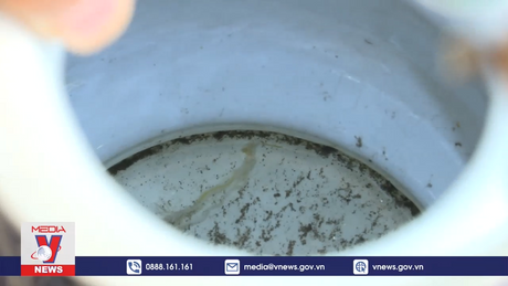 Không chủ quan với sốt xuất huyết dù số ca mắc giảm