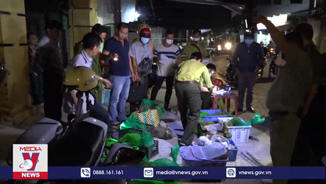 Phát hiện 30 cá thể cầy vòi hương không rõ nguồn gốc