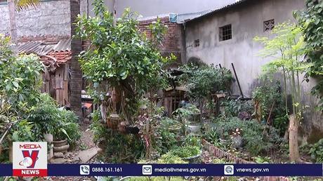 Hà Nội tiếp tục ghi nhận ca bệnh sốt xuất huyết