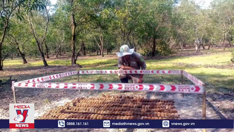 Quảng Trị phát hiện hầm đạn có 299 vật liệu nổ  