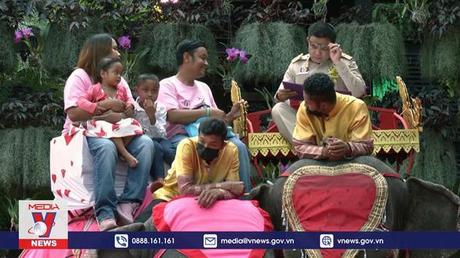 Đám cưới tập thể tại Thái Lan nhân dịp lễ Tình nhân