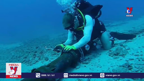 Khôi phục 50% dung lượng Internet từ Việt Nam đi quốc tế