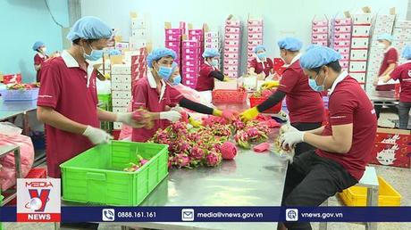 Hài hòa lợi ích để giữ thương hiệu trái cây Việt