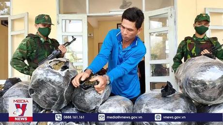 An Giang bắt vụ vận chuyển 57 kg cần sa qua biên giới