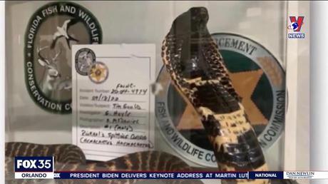 Đường dây nóng 389 ngày 15/02/2023