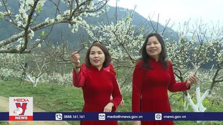 Tinh khôi mùa hoa mận trắng trên vùng cao Bắc Hà