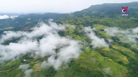 Văn hóa toàn cảnh ngày 15/02/2023