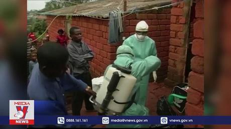 WHO họp khẩn về virus Marburg