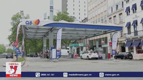 EP cấm bán ô tô sử dụng nhiên liệu hóa thạch