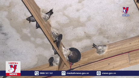 Bản tin thời sự 20h ngày 16/02/2023