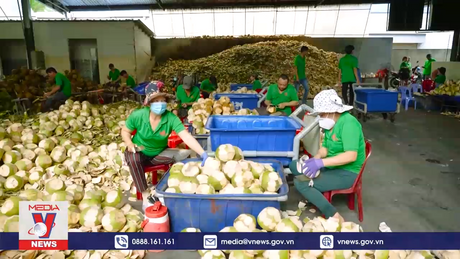 Bến Tre cần khai thác lợi thế, phát triển kinh tế biển