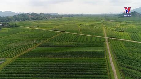 Tương Lai Xanh ngày 16/02/2023