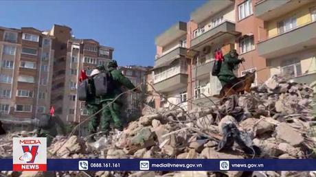 Đội chó nghiệp vụ Việt Nam tìm kiếm cứu nạn tại Thổ Nhĩ Kỳ 