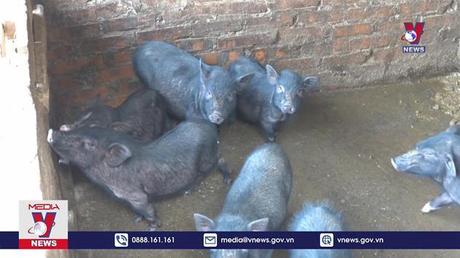 Công tác giảm nghèo ở vùng cao Mù Cang Chải 