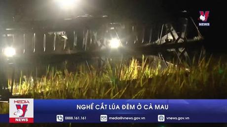 Nghề cắt lúa đêm ở Cà Mau