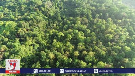 Thu hơn 3.700 tỷ đồng tiền dịch vụ môi trường rừng năm 2022