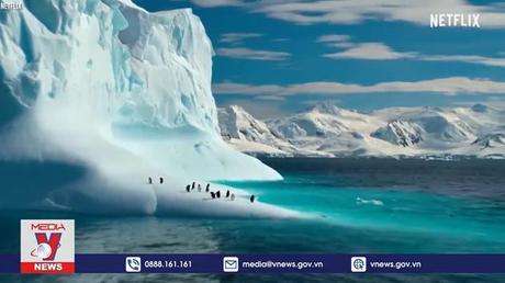 Băng ở Nam cực thấp nhất trong gần 45 năm