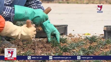 Hà Nội đẩy nhanh tiến độ xây dựng và cải tạo công viên