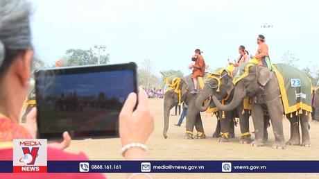 Ấn tượng lễ hội voi lớn nhất của đất nước “Triệu Voi”