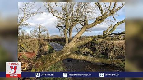 Bão gây gián đoạn giao thông ở khu vực Bắc Âu