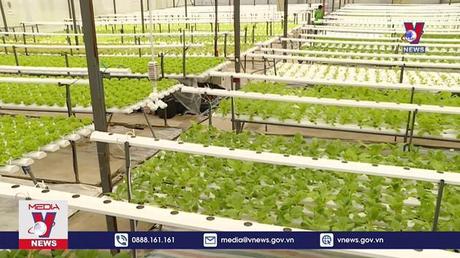 Gần 50% doanh nghiệp trong nước ngừng áp dụng chuyển đổi số