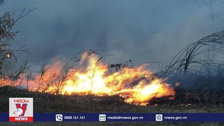 Đốt rác tùy tiện đe dọa an toàn công trình, khu dân cư