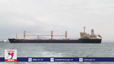 Hậu quả việc ngưng trệ nguồn cung ngũ cốc từ Nga và Ukraine