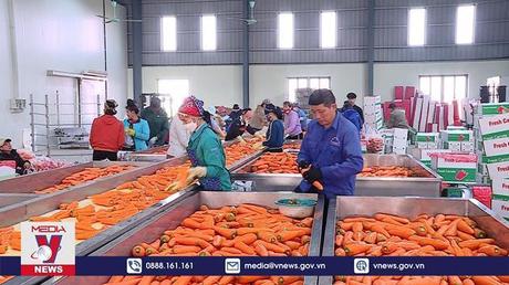 Khai thác và mở rộng thị trường xuất khẩu