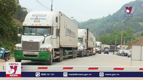 Hoa quả xuất sang Trung Quốc tăng mạnh