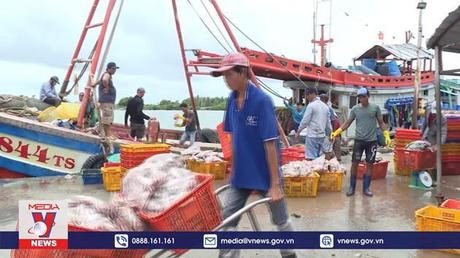 Ngư dân Bạc Liêu gặp khó trong những chuyến biển đầu năm