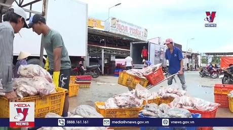 Bản tin thời sự 08h ngày 19/02/2023