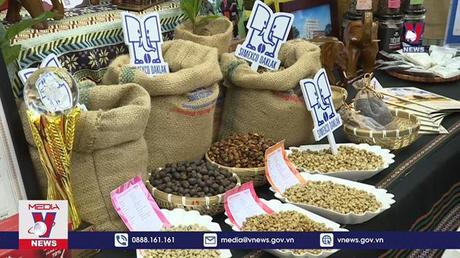 Buôn Ma Thuột sẽ có phố cà phê miễn phí 