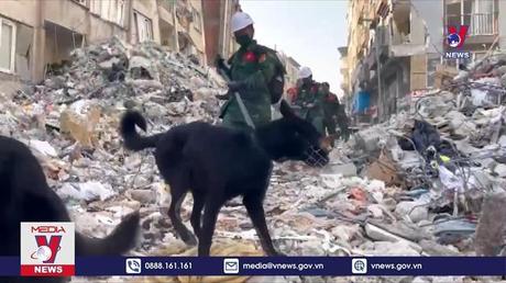 Cập nhập hoạt động cứu hộ cứu nạn tại Thổ Nhĩ Kỳ