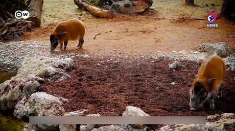 Tạp chí toàn cầu số 676 ngày 20/02/2023 