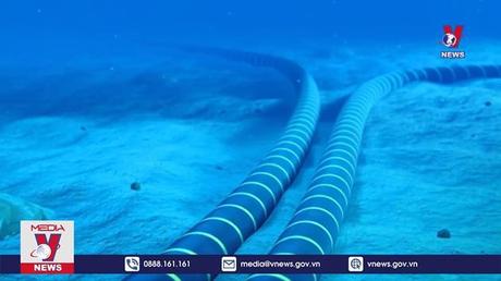 Tuyến cáp quang biển thứ 5 gặp sự cố